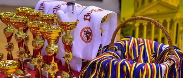 Rezultatele STEYsha la Bucharest Feis & Grade Exams 2016