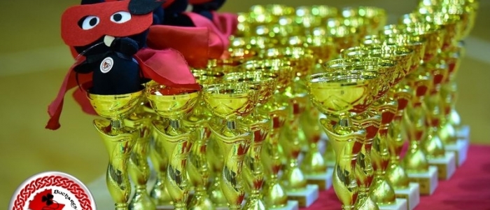 Rezultatele STEYsha la Bucharest Feis & Grade Exams 2017